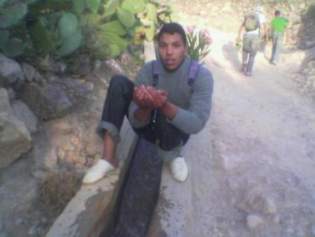 ilyas